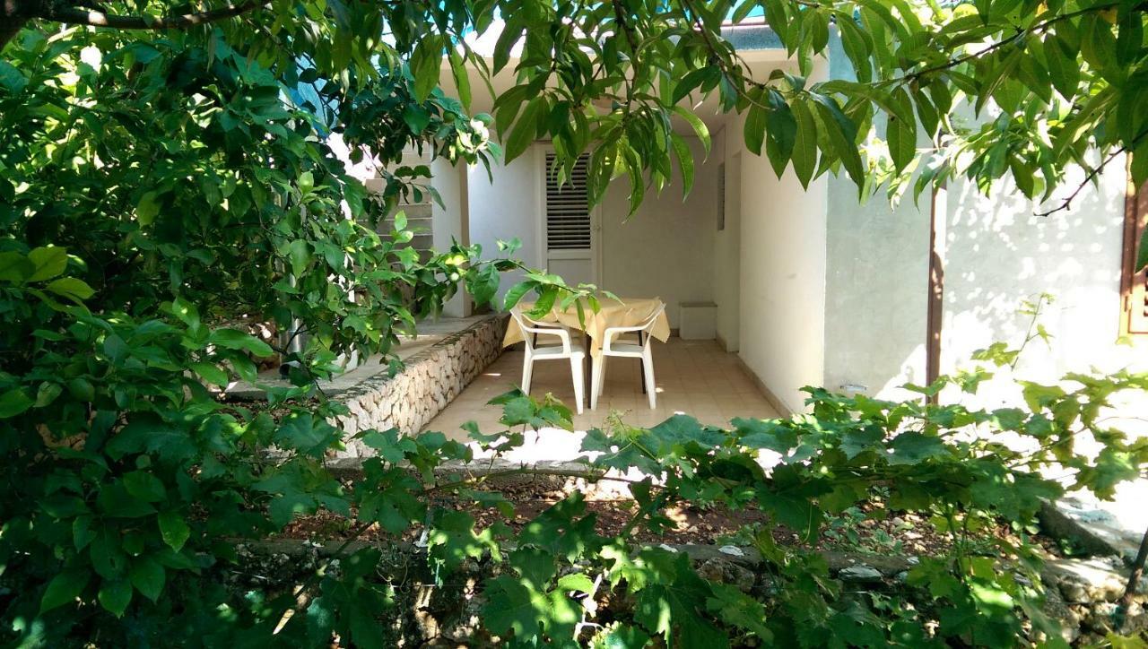 Apartmani Sandro อิวานโดลัซ ภายนอก รูปภาพ